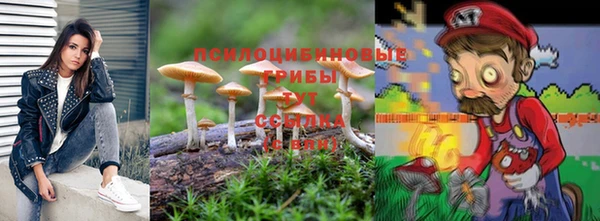 крисы Балахна