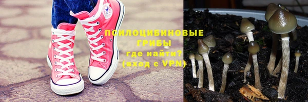 крисы Балахна