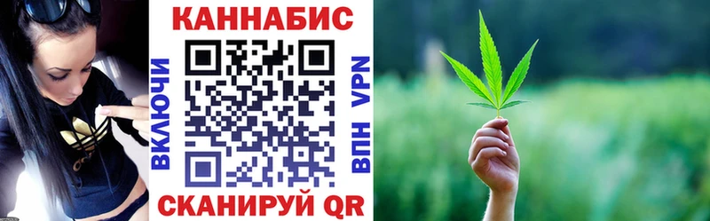 дарнет шоп  площадка клад  MEGA зеркало  Марихуана тримм  Петрозаводск 